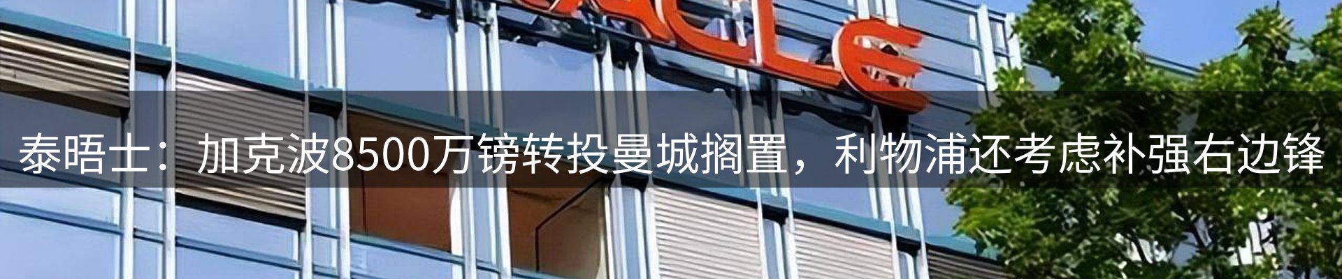 行业报道