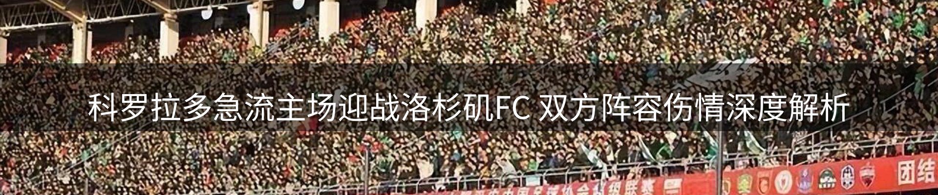 新闻资讯