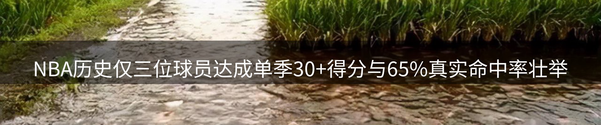 新闻资讯